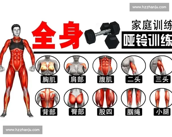 以训练周期为核心优化运动计划与身体适应策略研究