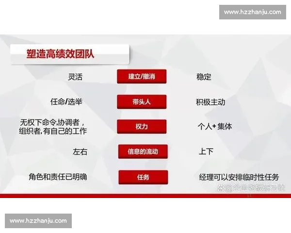 打造凝聚力与协作精神的现代体育团队文化建设研究